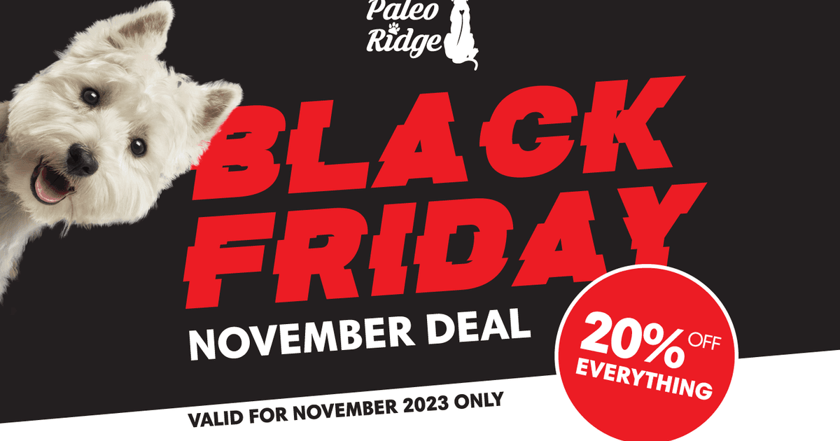 Black friday top dog house deals