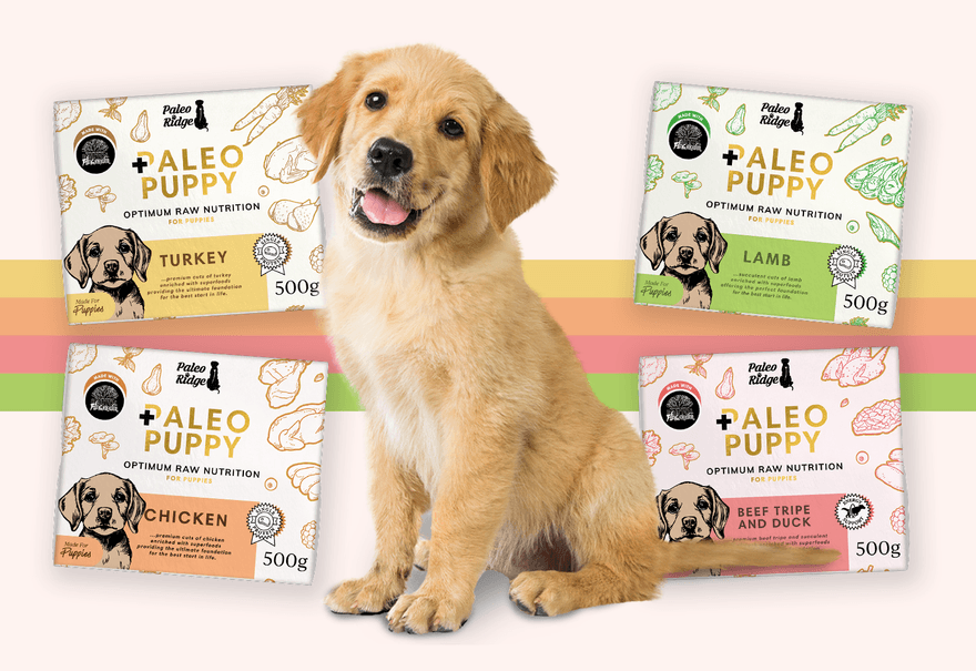 Paleo Ridge | Premium Raw Dog Food | 20% off 1st Two Orders