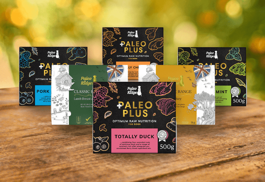 Paleo Ridge | Premium Raw Dog Food | 20% Off 1st 2 Orders