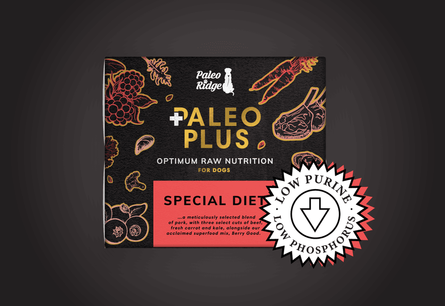 Special Diet Paleo Plus PR