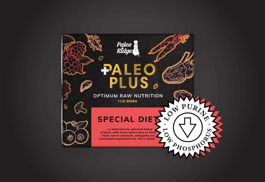 Paleo ridge ready sales raw