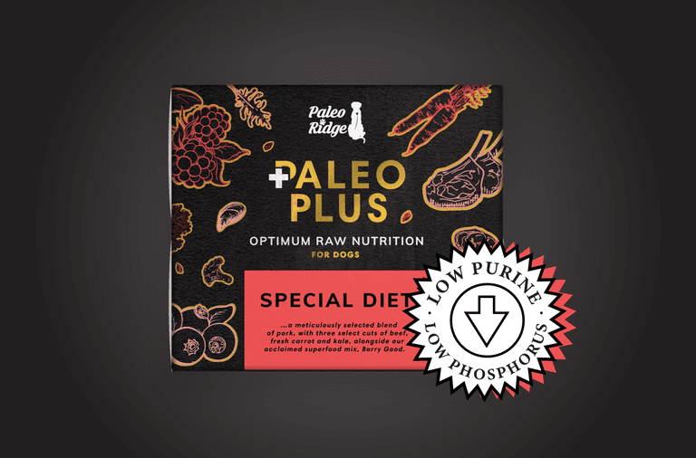 Special Diet Paleo Plus PR