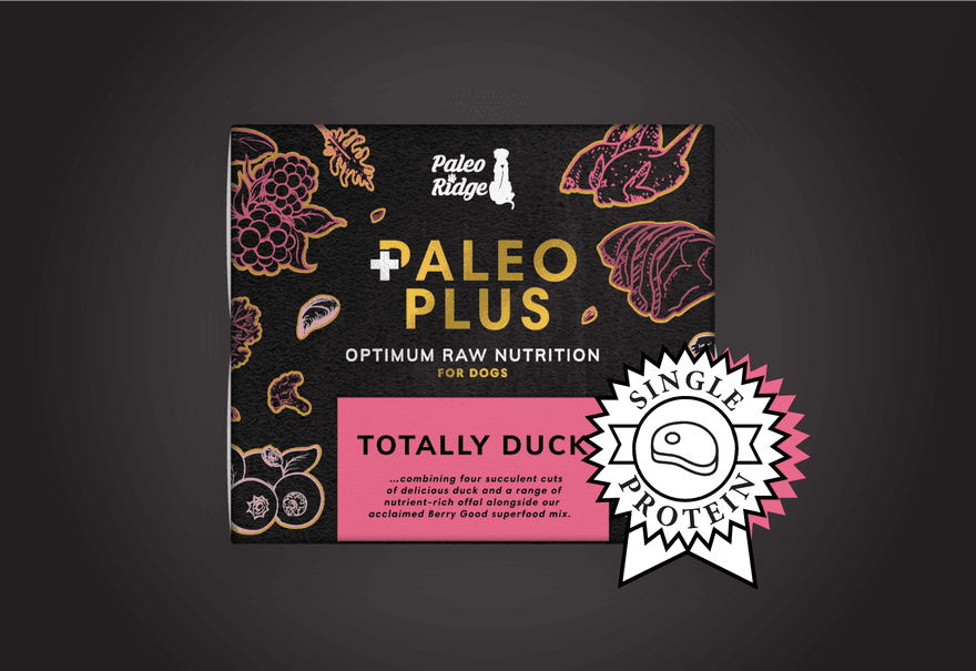 Feeding Senior Dogs a Raw Diet Paleo Ridge