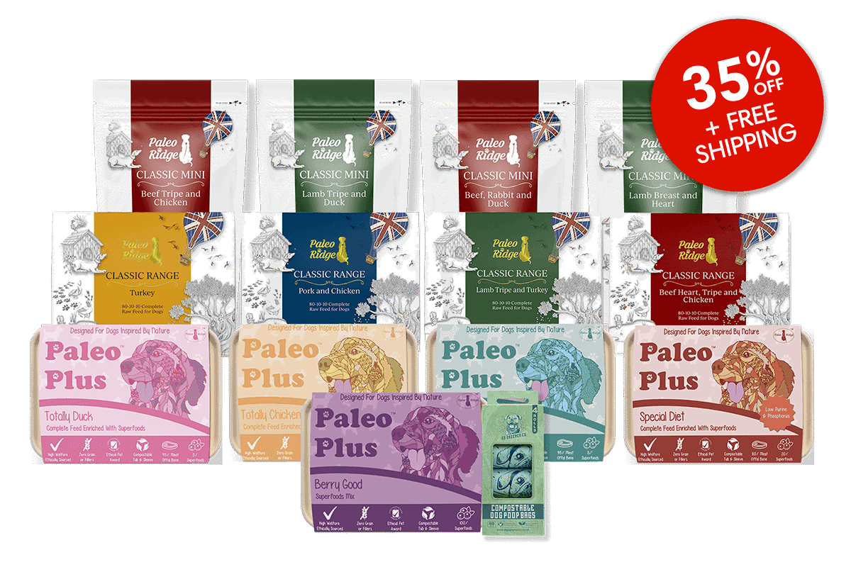 Black Friday Hamper 14 Products v3 1