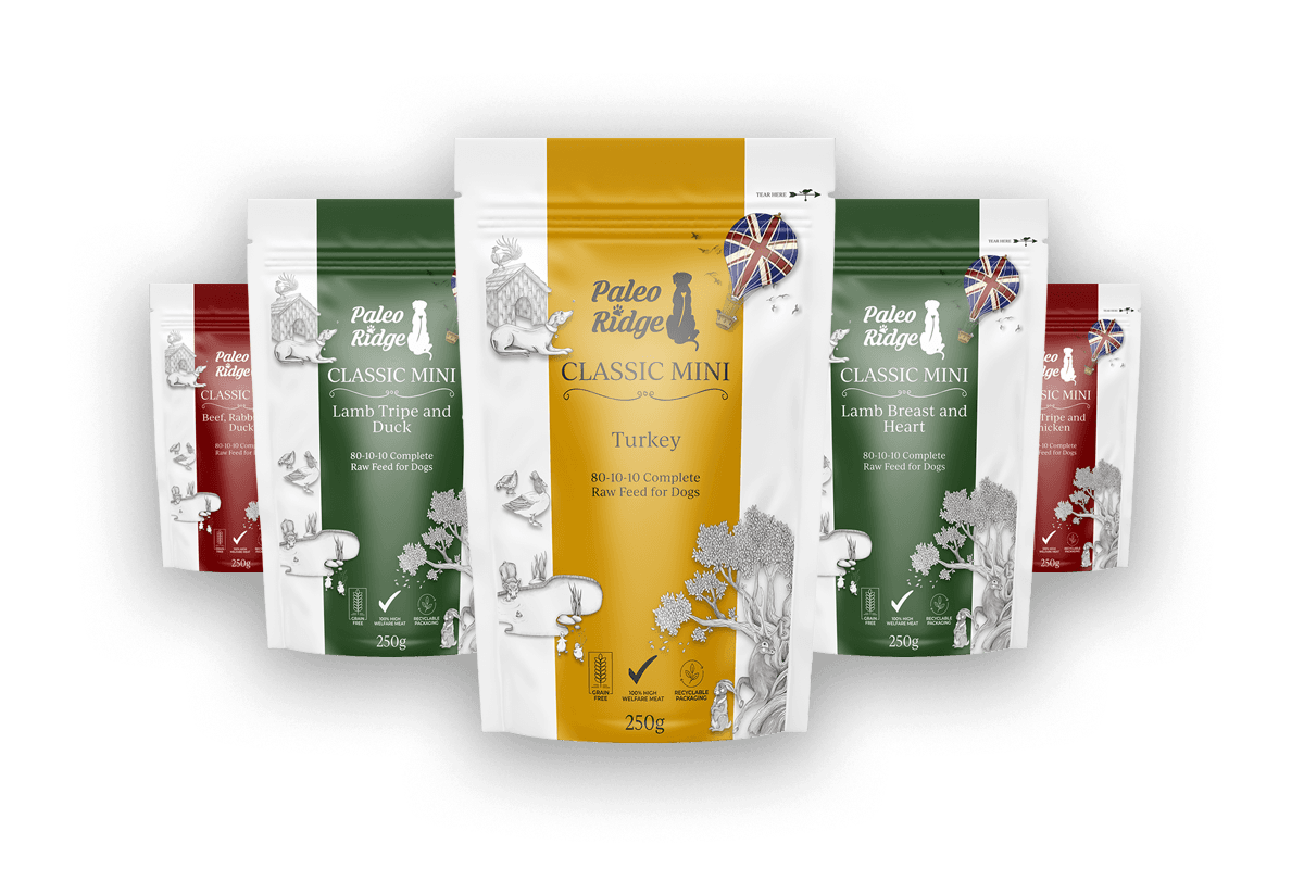 Raw dog online food free delivery