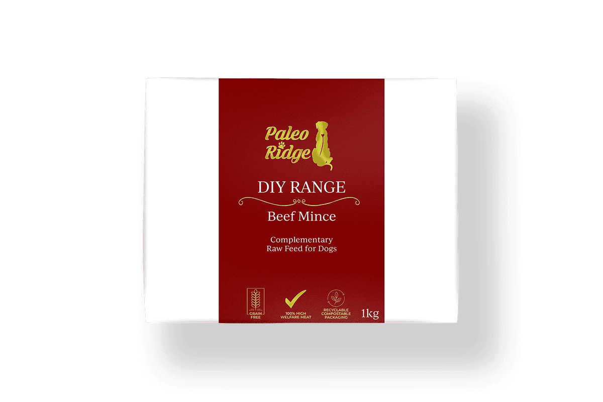 Can i feed sales my dog minced beef