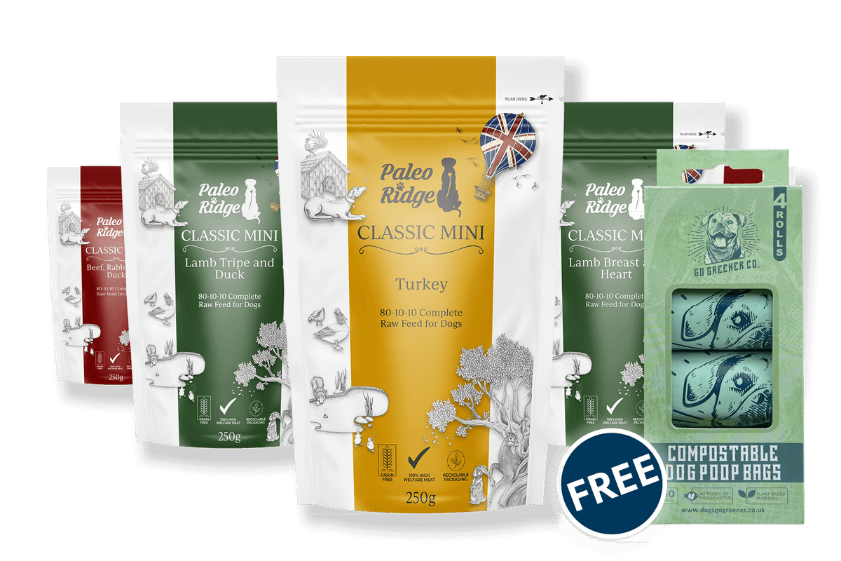 Dogs Go Greener Classics Mini Hamper 32 x 250g