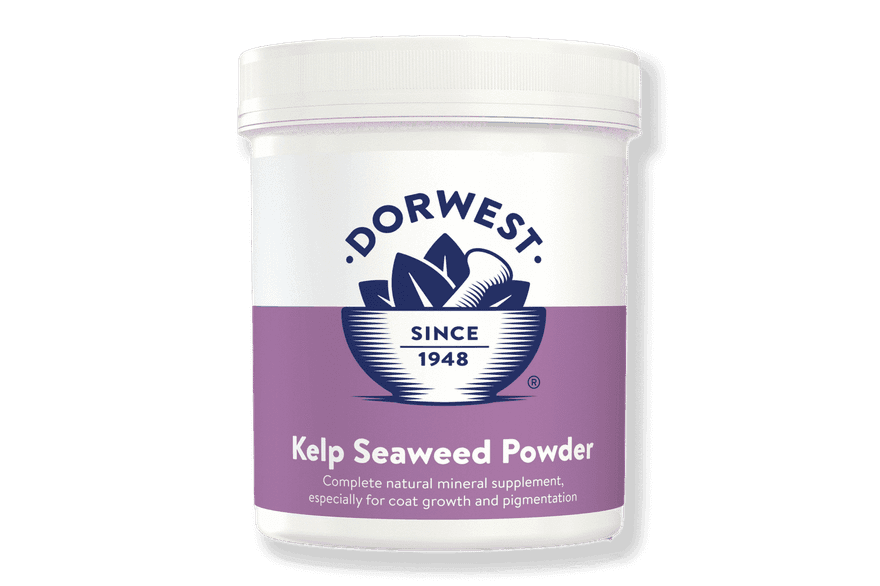 Dorwest Kelp Seaweed Powder 250g