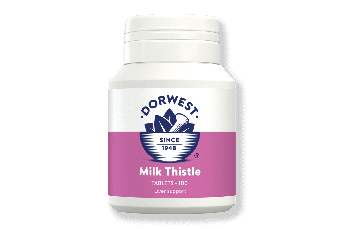 Milk thistle capsules for dogs best sale