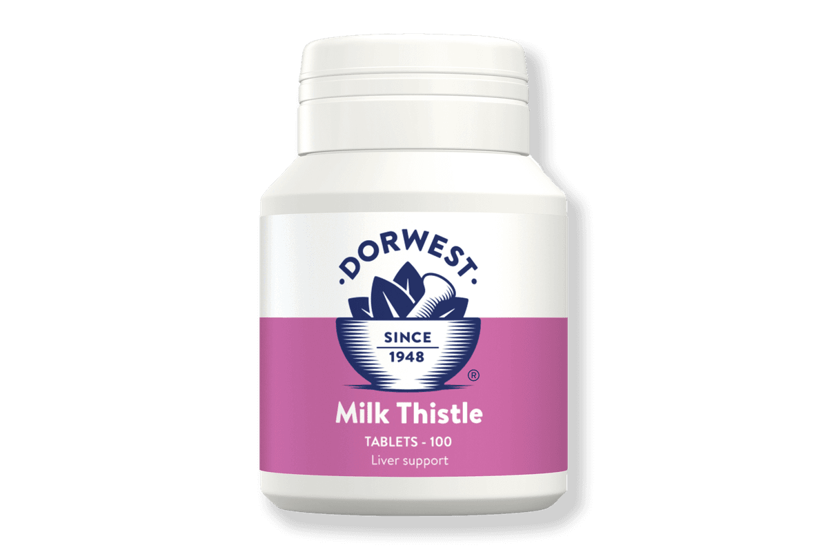 Dorwest Milk Thistle 100 Table
