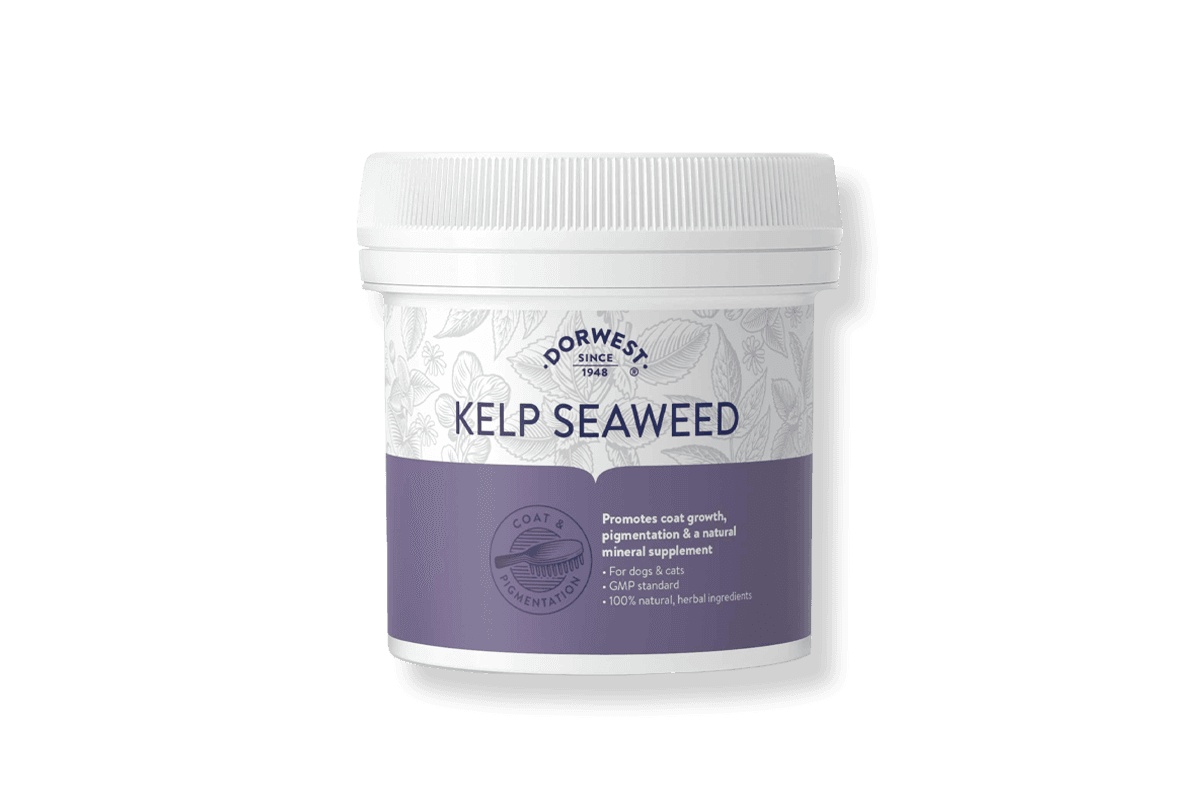 Dorwest New Kelp Seaweed
