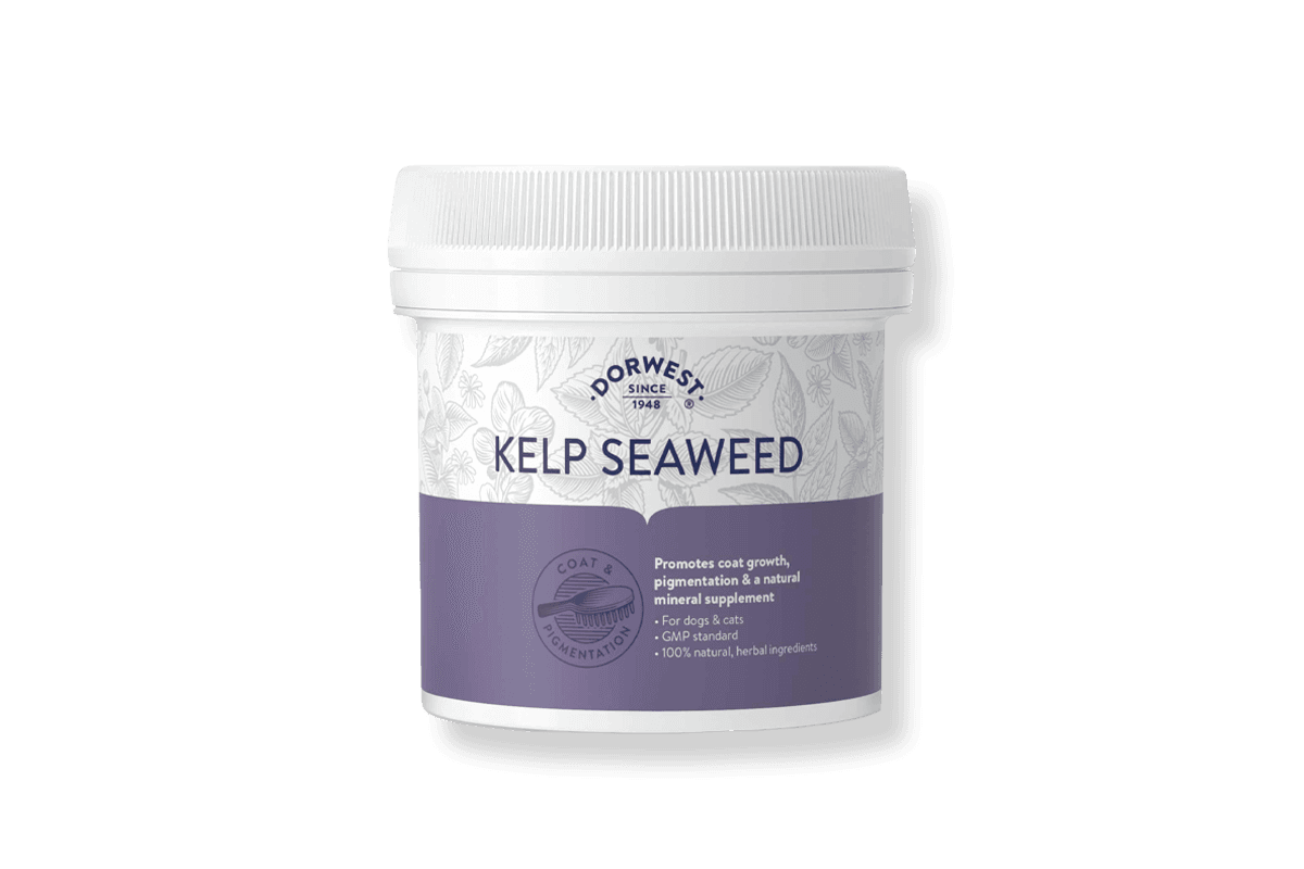 Kelp for dogs clearance