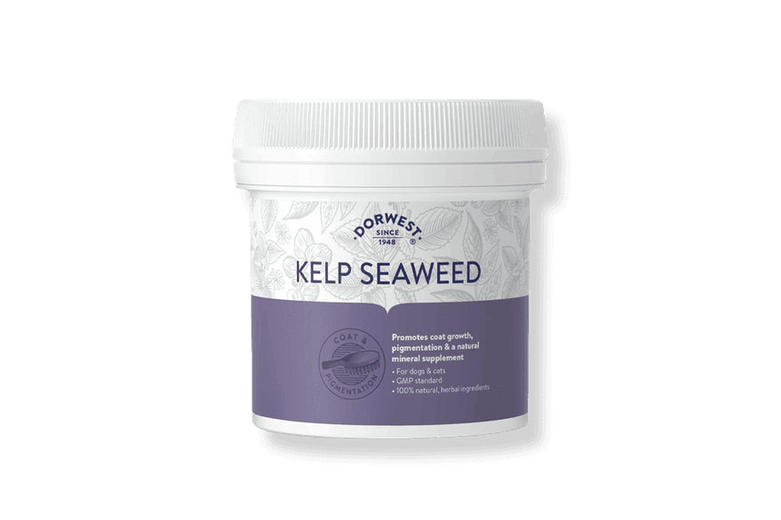 Dorwest New Kelp Seaweed