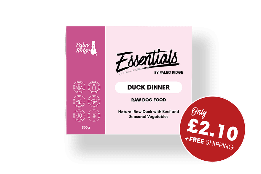 Essentials Duck For Website May 2024