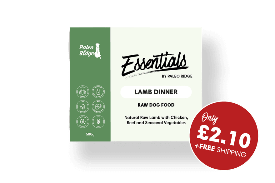 Essentials Lamb For Website May 2024