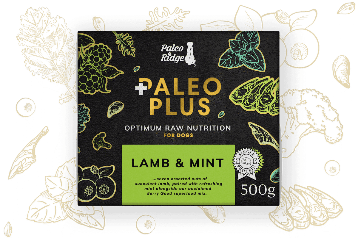 Lamb Mint Paleo Plus PR II