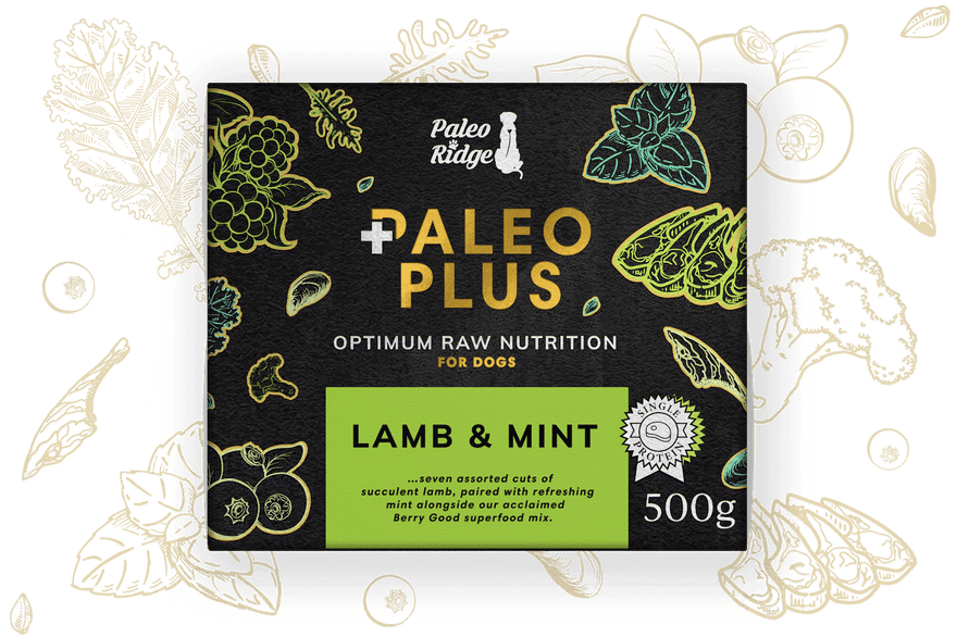 Lamb Mint Paleo Plus PR II