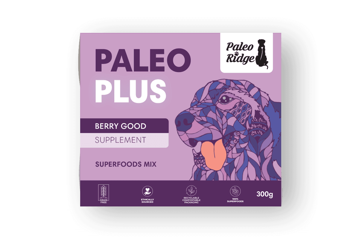 Paleo Plus Berry Good