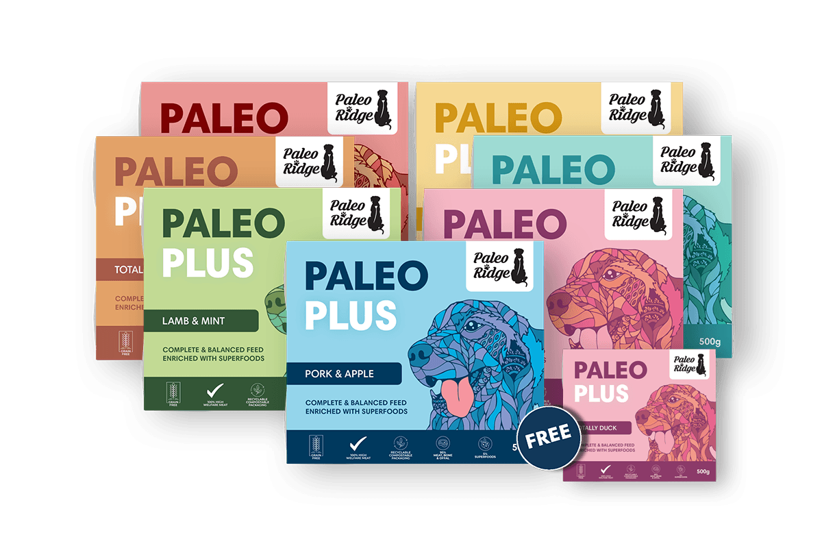 Paleo Plus Hampers Totally Duck