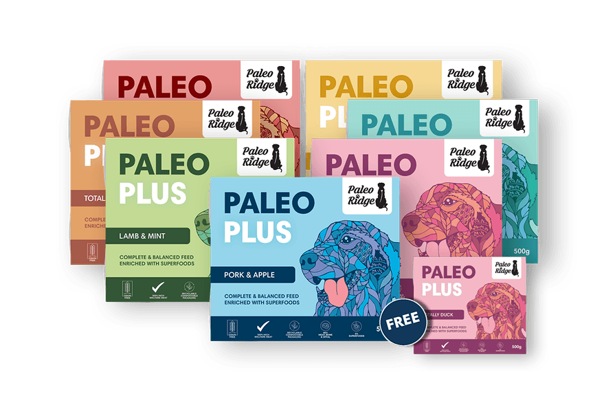 Paleo Plus Hampers Totally Duck