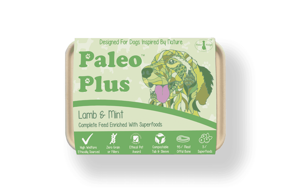 Paleo Plus Lamb Mint 500g