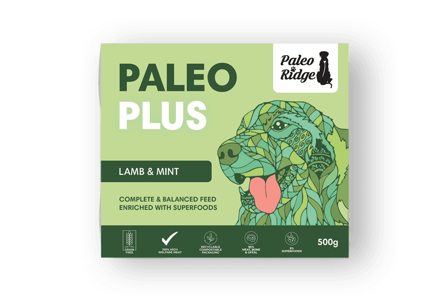 Paleo Plus Lamb Mint 500g