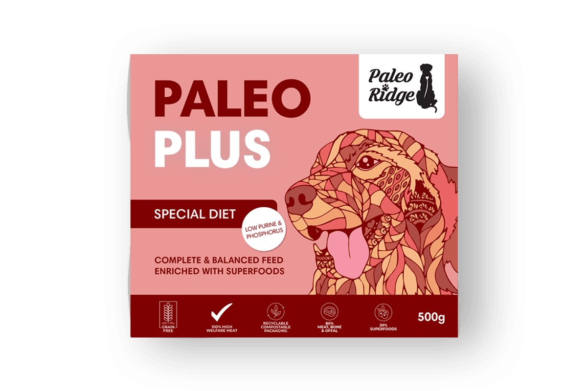 Paleo Plus Special Diet