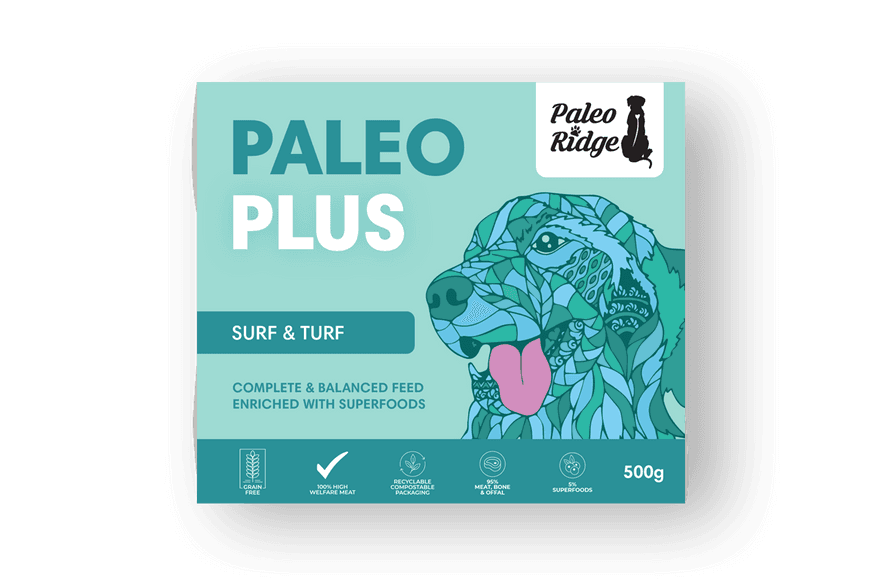 Paleo Plus Surf Turf