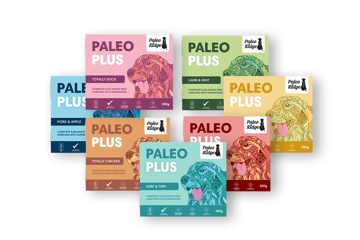 Paleo Plus