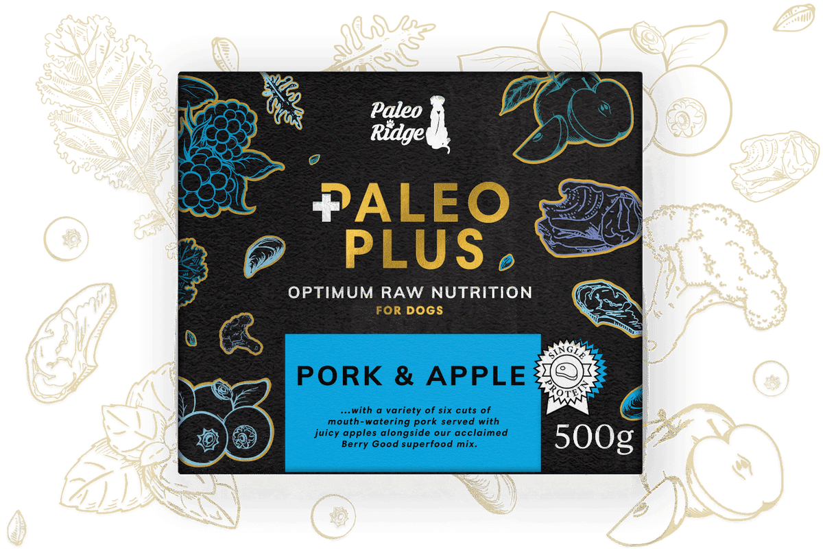 Pork Apple Paleo Plus PR II