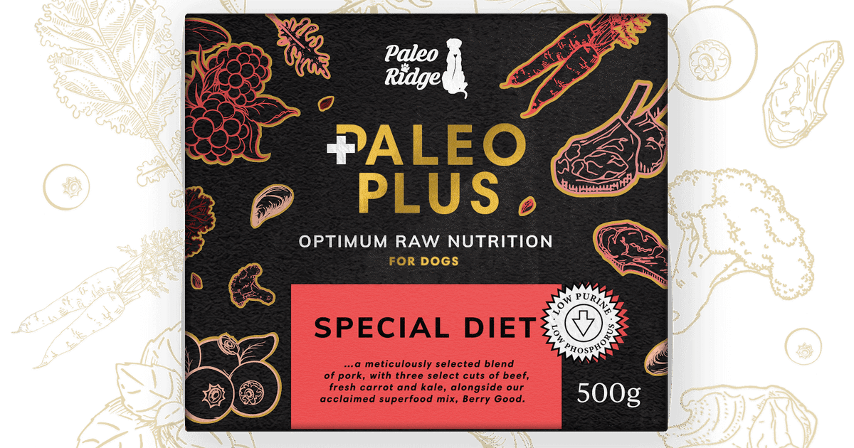 Meats low in clearance phosphorus for dogs