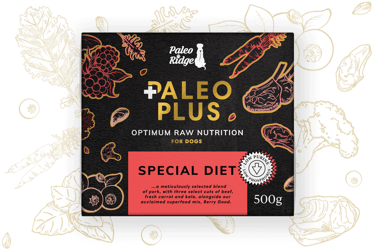 Paleo Plus Special Diet 500g 801010 Complete Raw Dog Food