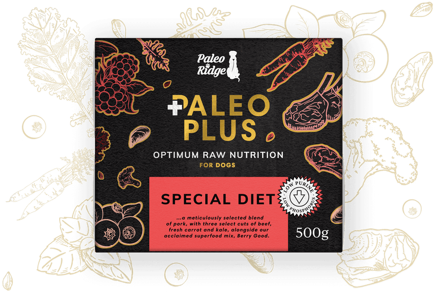 Special Diet Paleo Plus PR II