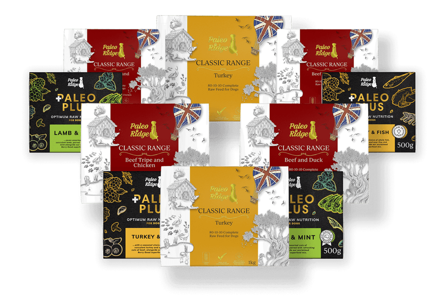 Paleo Ridge | Premium Raw Dog Food | 20% off 1st Two Orders
