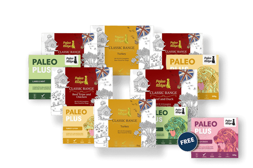 Switch to Raw - Raw Dog Food Hampers + Totally Duck