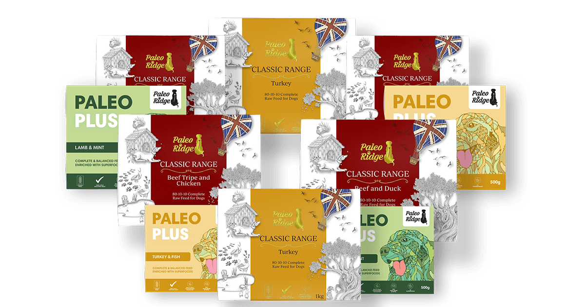 Paleo Ridge Switch To Raw Hamper 6 X 1kg And 4 X 500g Raw Dog Paleo Ridge Switch To Raw Hamper 6 X 1kg And 4 X 500g Raw Dog