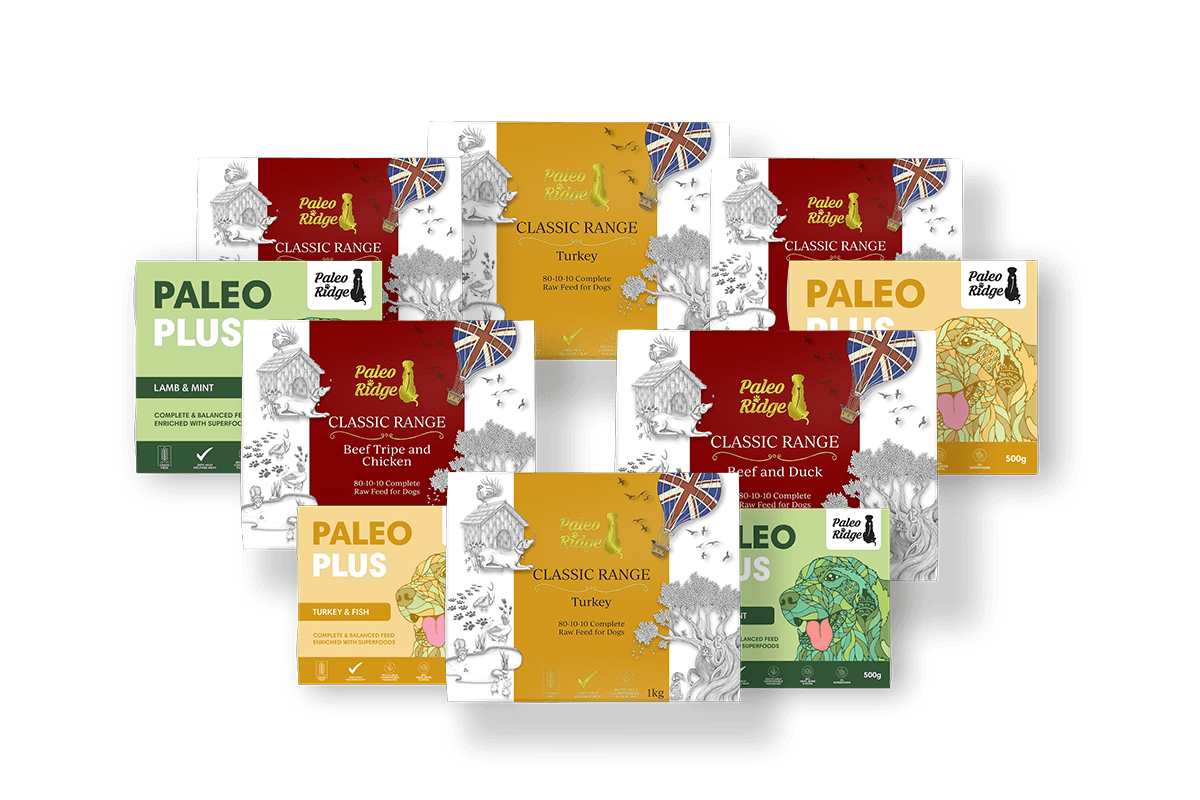 Switch To Raw Dog Food Hamper (6 x 1kg and 4 x 500g)