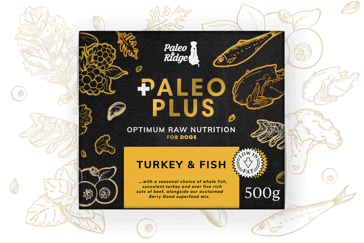 Turkey Fish Paleo Plus PR II