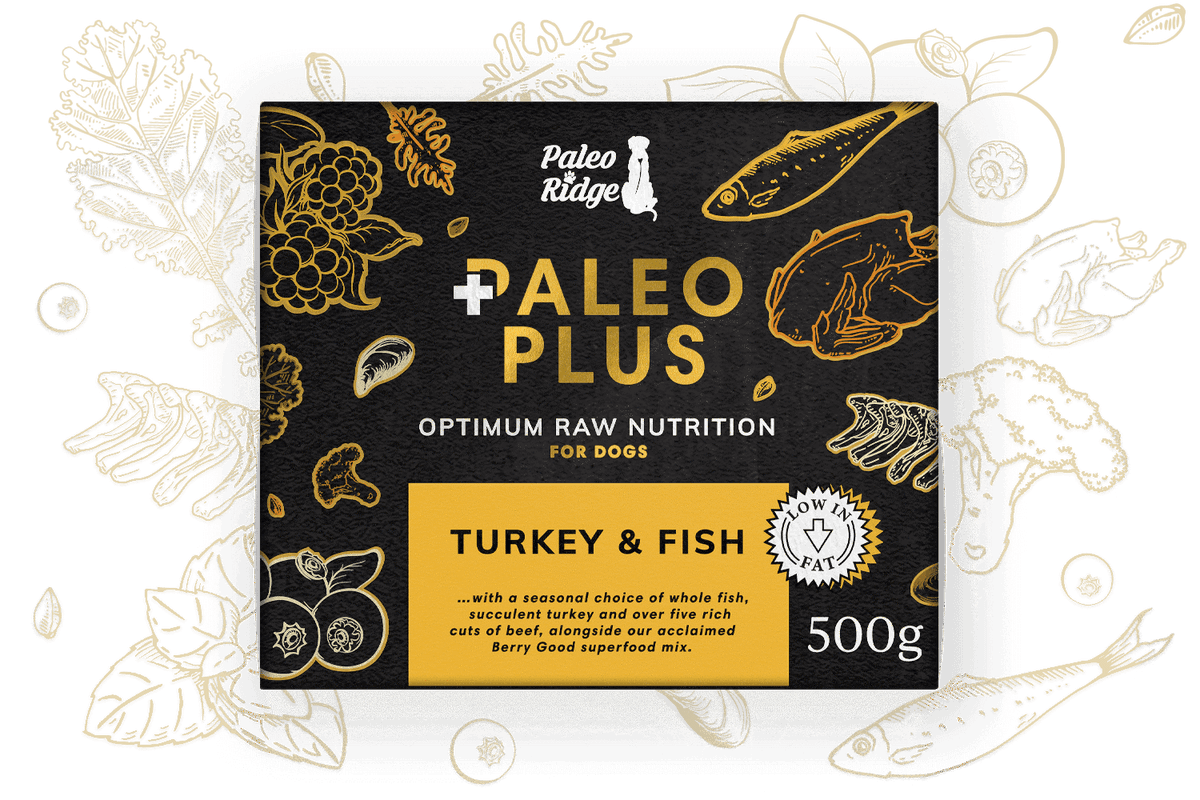 Paleo Plus Turkey Fish 801010 Complete Raw Dog Food