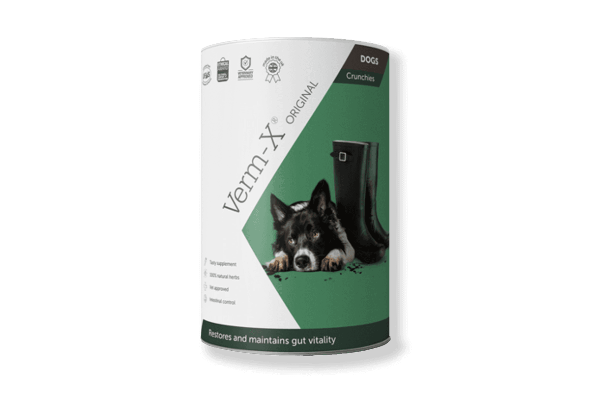 Verm X Original Crunchies for Dogs 100g