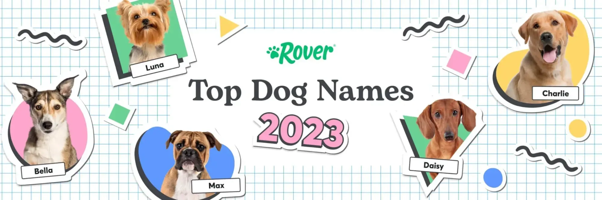Rover.com