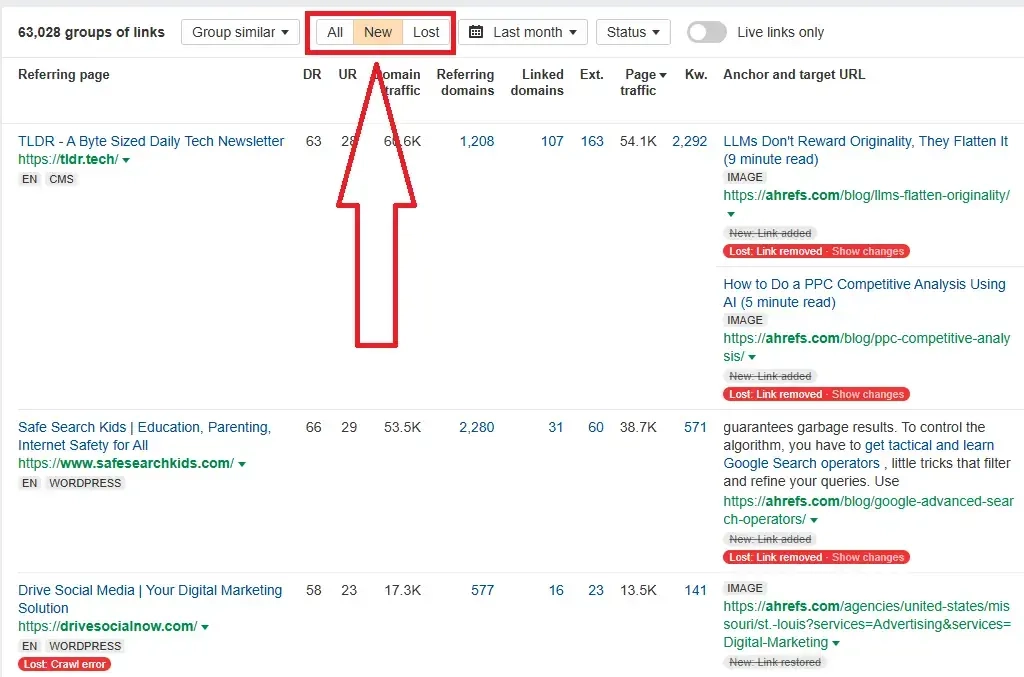 Ahref's backlink dashboard