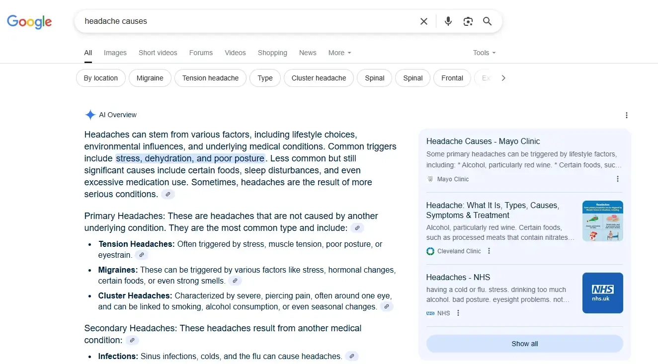 Google AI overview