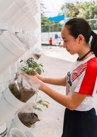 Junior-High Student looking after plants