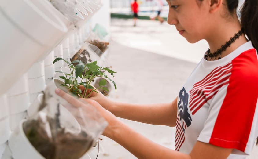 Junior-High Student looking after plants