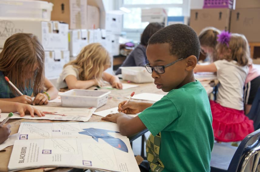 Primary student in a lesson