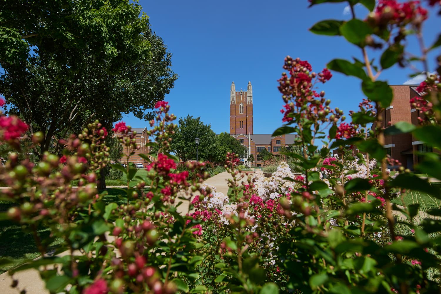 Quad looking toward Clara Jones Administration Building