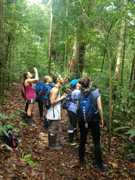 OCU Students in backpacks look to the forest canopy on a field expedition. OCU Students in backpacks look to the forest canopy on a field expedition.