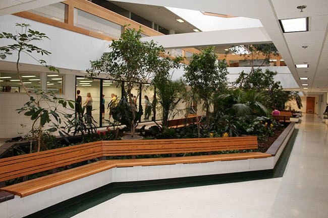 An indoor planter is filled with greenery inside the Lacy School