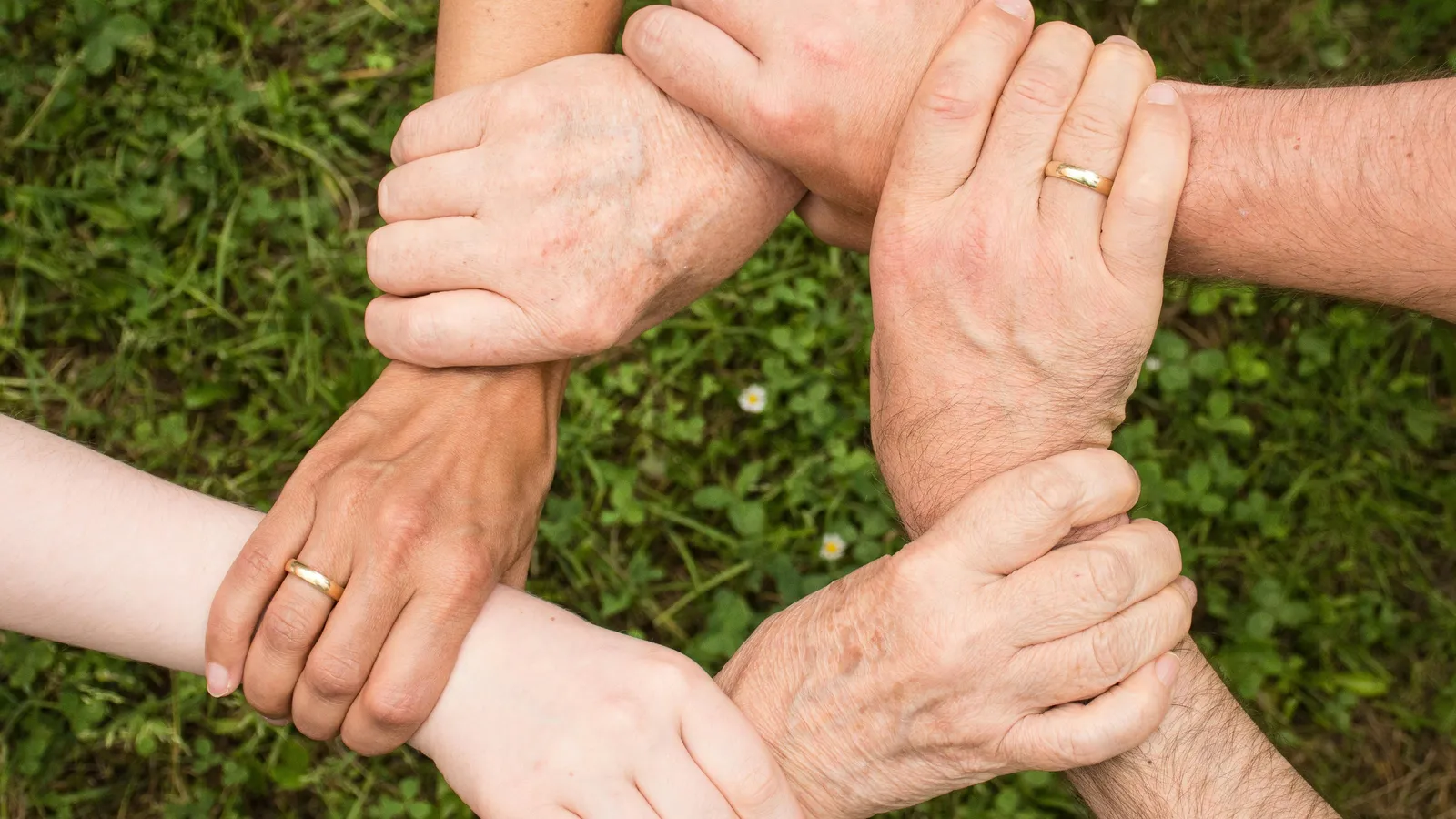 Community hands